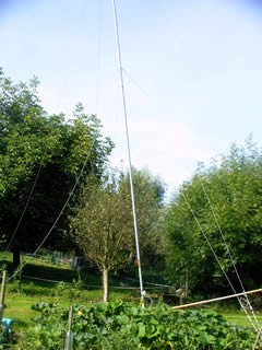 eol_08
